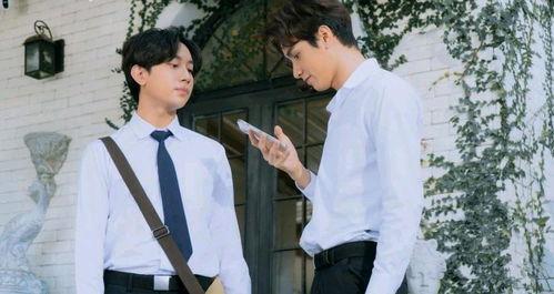 倾心相印 特别篇,特别篇——深情续章，爱意再燃