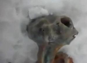 天外世界：外星人星球,天外世界外星人星球揭秘