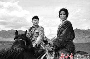 甘南情歌,高原上的旋律与情感共鸣